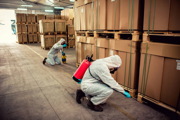 Best Wasp Removal Services  in Rayre, MO