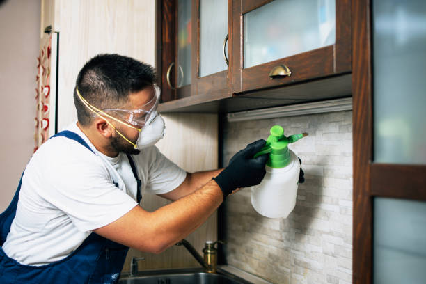 Best Pest Control Near Me in Raymore, MO