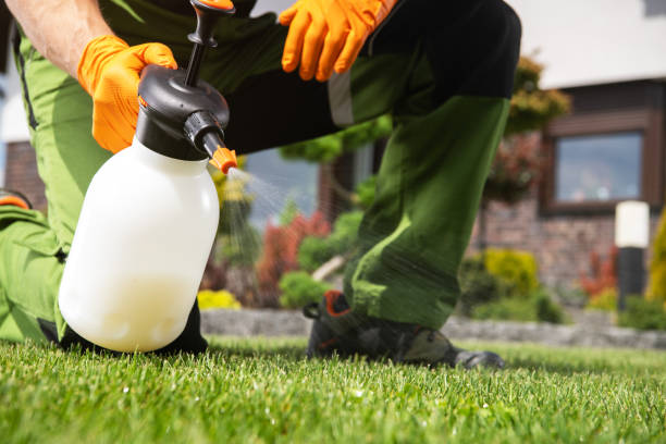 Best Exterminator Services  in Rayre, MO