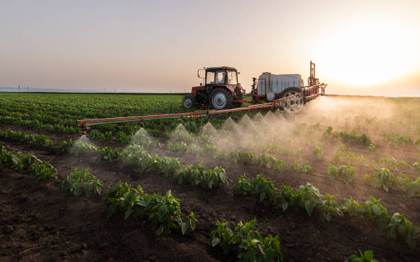 Best Best Pest Control Companies  in Rayre, MO