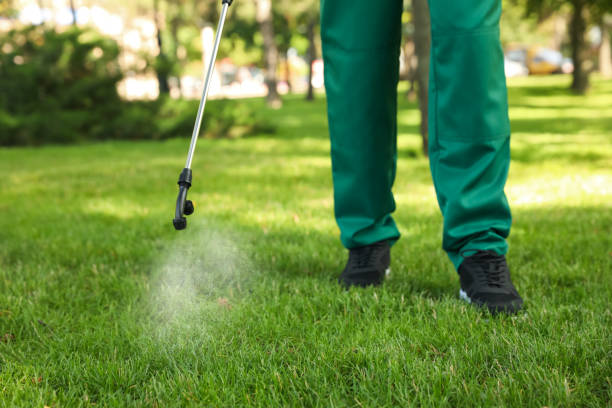 Best Termite Control Services  in Rayre, MO