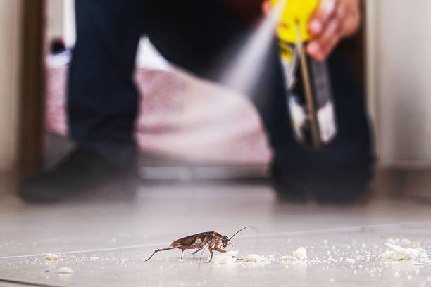 Best Emergency Pest Control  in Rayre, MO