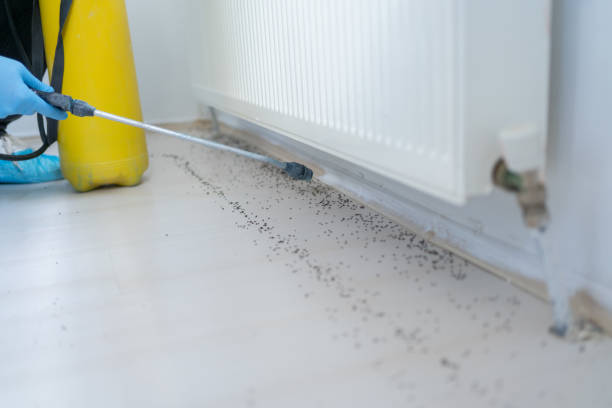 Best Pest Inspection Near Me  in Rayre, MO